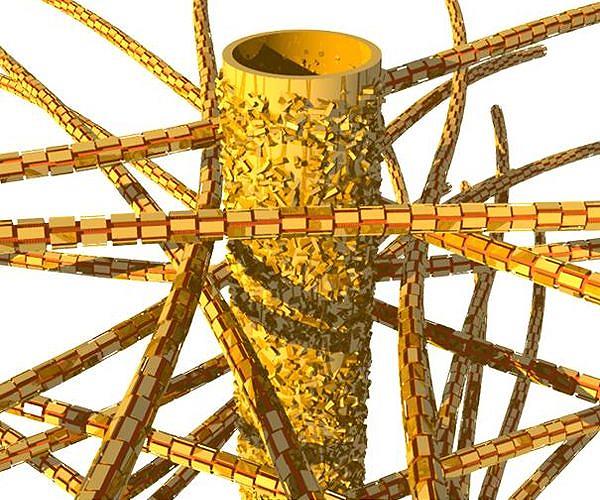 Collagen Myths Busted: What Science Really Says About This Beauty Staple