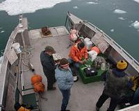 Melting glaciers create noisiest places in ocean