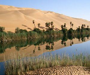 Water Resources Management and Policy in a Changing World