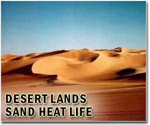 China may need 300 years to win desertification fight