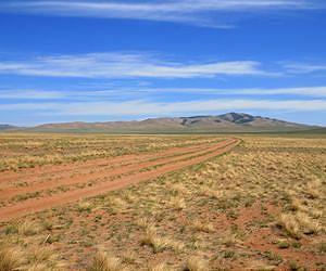 Mongolia's 'eco-Nazis' target foreign miners