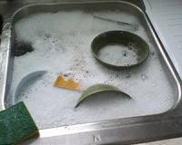 Biotechnologists look to bacteria in extremely cold environments for 'green' detergents