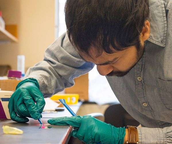 A new way to swiftly eliminate micropollutants from water