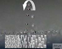 New research could make dew droplets so small, they're invisible