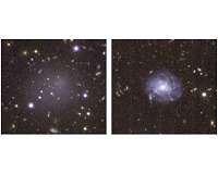 Anemic galaxy reveals deficiencies in ultra-diffuse galaxy formation theory