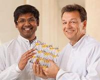 Better solar cells, better LED light and vast optical possibilities