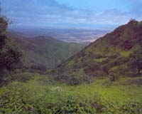 The Secrets Of Successful Ecosystems