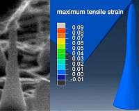 UNIST introduces novel method to grow elastic diamonds