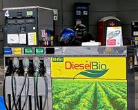 New technique makes biogasoline from plant waste