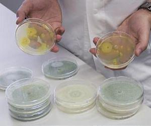 Molecular switch for cheaper biofuel