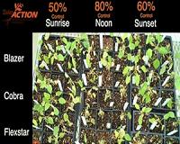 Time of day can impact spray
