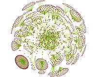 Digital Dandelions: The Flowering Of Network Research