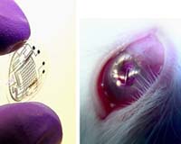 Researchers unveil contact lenses with zoom capabilities