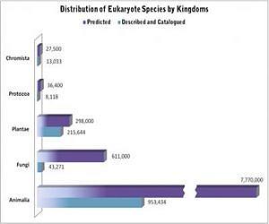 How many species on Earth? 8.7 million