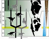 New duck-billed dinosaur discovered in Japan