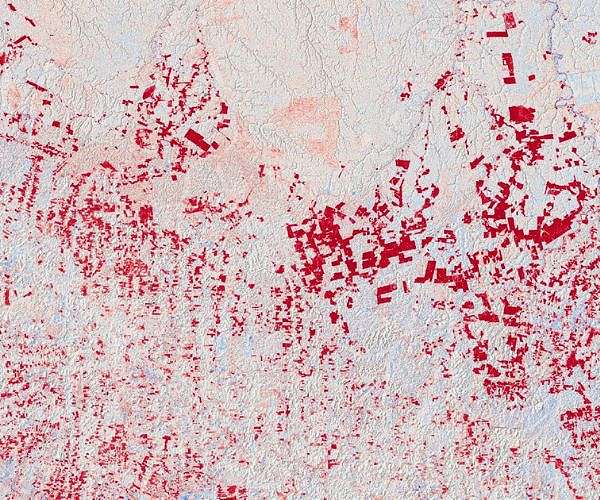 Brazil boasts drop in deforestation ahead of UN climate talks