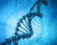 DNA 'Sat Nav' directs you to your ancestor's home
