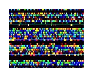 DNA database not so anonymous on the Internet: study