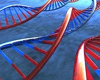 Genetic Variations In European Americans