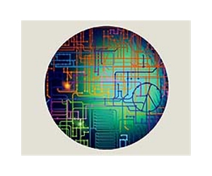 Genomic human microbes collection created