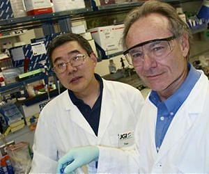 Salt-loving microbe provides new enzymes for the production of next-gen biofuels