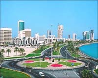 Fukushima operator wins Qatar utility contract
