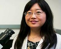 Engineers build world's smallest, fastest nanomotor
