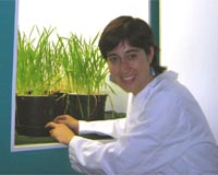 CO2 Increase In The Atmosphere Augments Tolerance Of Barley To Salinity