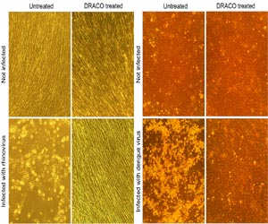 Infection biology: The elusive third factor