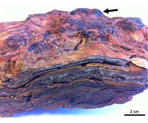 Earth's oldest stromatolites and the search for life on Mars