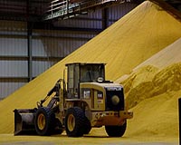 New use possible for ethanol plant wastes
