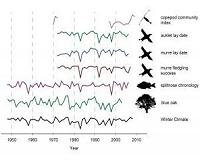 Changes in coastal upwelling linked to temporary declines in marine ecosystem