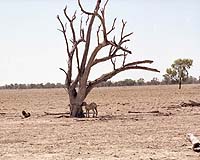 Sequence Matters In Droughts And Floods