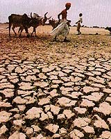 Climate Change Could Amplify Drought In East Indian Ocean And Australasia