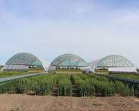 A step forward to making crops drought tolerant
