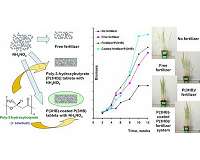 Scientists developed 'smart fertilizer'