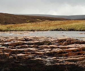 Europe to suffer from more severe and persistent droughts