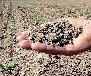 UN calls for eco-friendly farming to boost yields