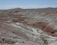 Jurassic climate was far more complex than previously known