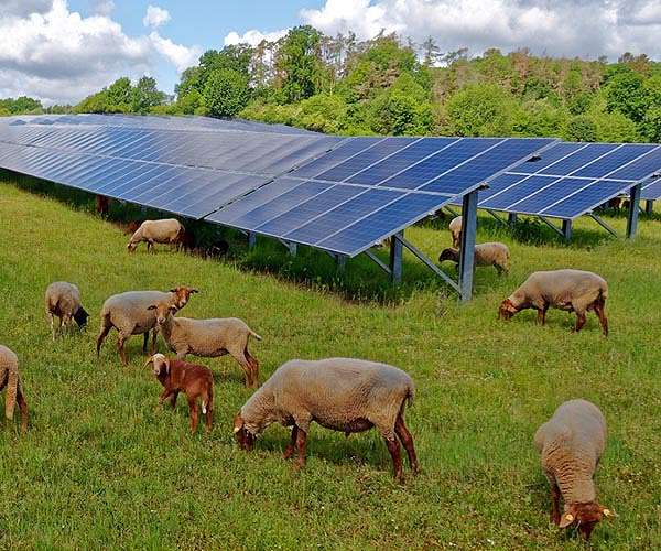 EU crafts response to US green tech subsidies