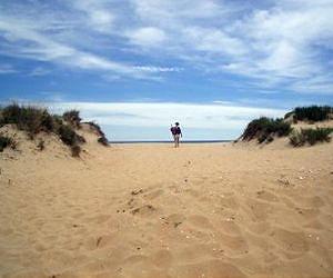 Keeping our beaches safe