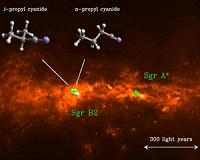 Interstellar molecules are branching out