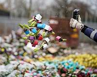 Dutch destroy millions of flowers as coronavirus wilts sales