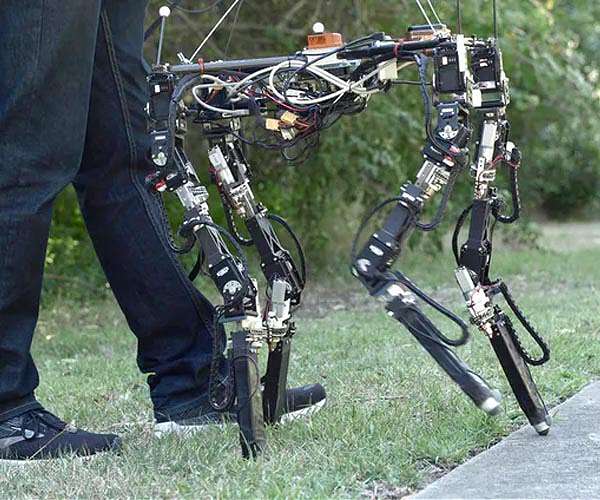 DyRET robot can rearrange its body to walk in new environments