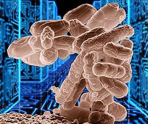 Nanotechnologists take lessons from nature