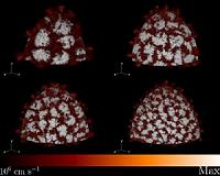 Titan helps researchers explore explosive star scenarios