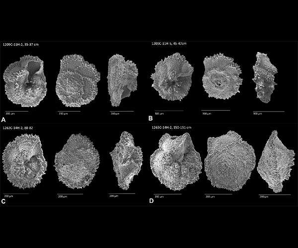 Oceans were stressed preceding abrupt, prehistoric global warming