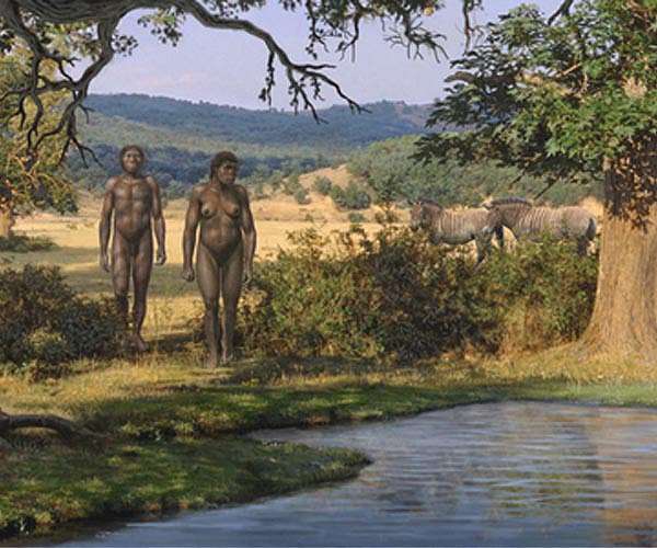 Environmental conditions of early humans in Europe
