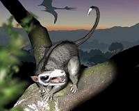 Mass extinction may not cause all organisms to 'shrink'