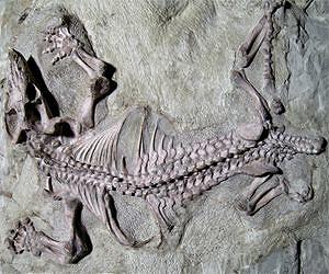 Why Earth's greatest mass extinction was the making of modern mammals